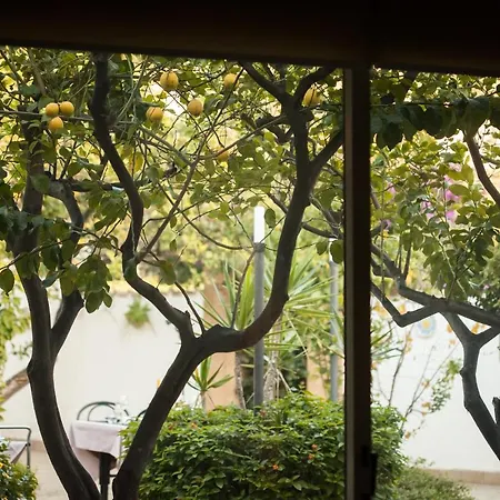 L'albero * Porto Empedocle