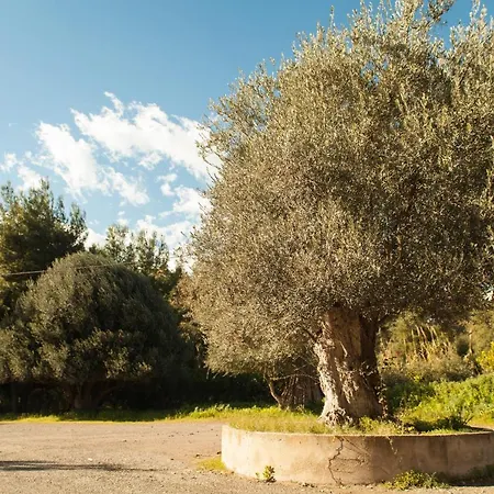L'albero Oda ve Kahvaltı