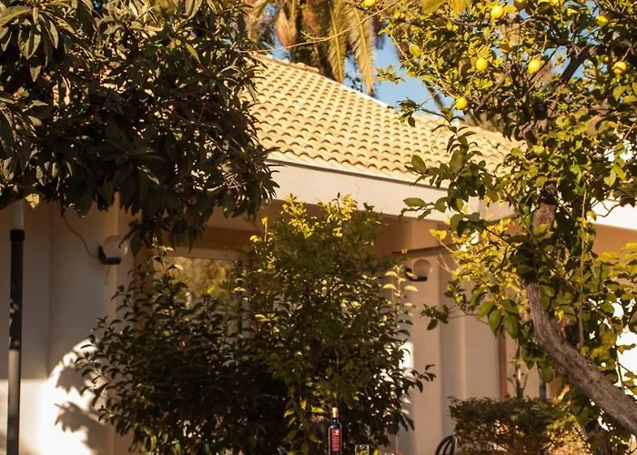 L'albero