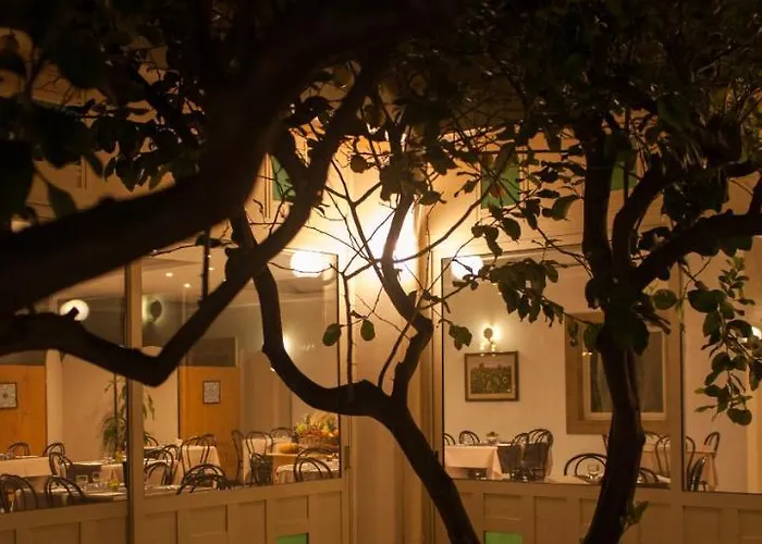 L'albero Panzió